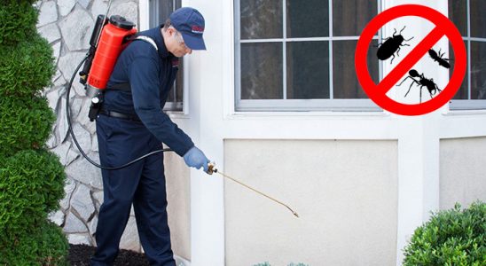Karesi Kene İlaçlama böcek ilaçlama ve haşere kontrolü — ilaclama-tr.com